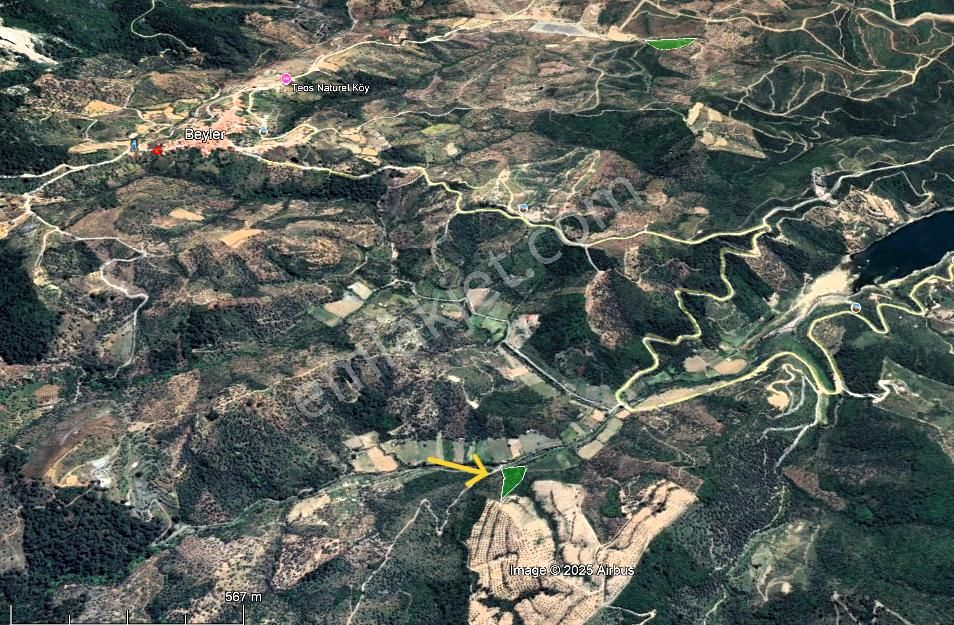 Seferihisar Beyler Köyünde Kadastral Yola Cepheli Zeytinlik - Görsel 11