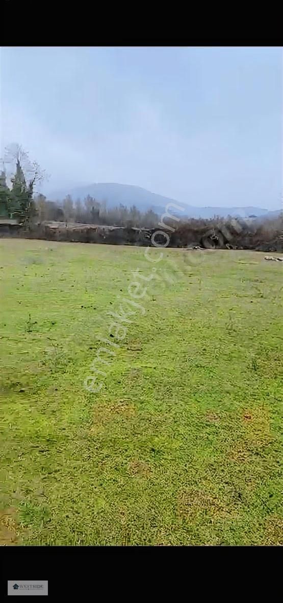 Çanakkale Yenice Örencik Köyü Satılık