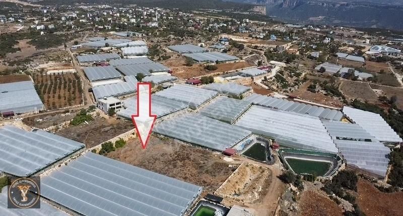 Erdemli Aslanlı Deniz Manzaralı 5141 M2 Tek Tapu Satılık - Görsel 3