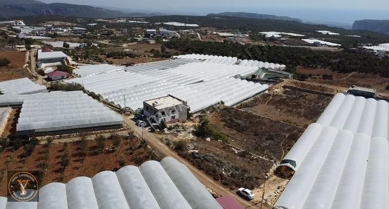 Erdemli Aslanlı Deniz Manzaralı 5141 M2 Tek Tapu Satılık - Görsel 11