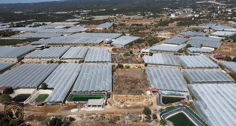 Erdemli Aslanlı Deniz Manzaralı 5141 M2 Tek Tapu Satılık - Görsel 8