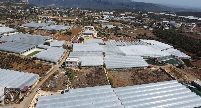 Erdemli Aslanlı Deniz Manzaralı 5141 M2 Tek Tapu Satılık - Görsel 6