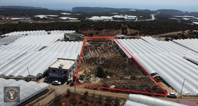 Erdemli Aslanlı Deniz Manzaralı 5141 M2 Tek Tapu Satılık - Görsel 5
