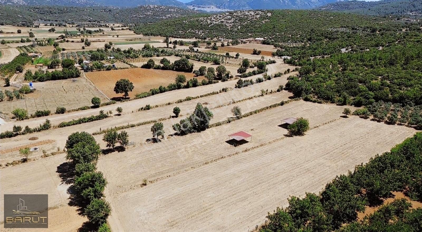 Yerkesikte Satılık Arazi - Görsel 2