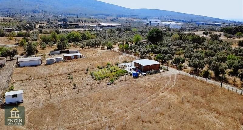 Engin Gayrimenkul'den Çamlıcada Bahçe - Görsel 2