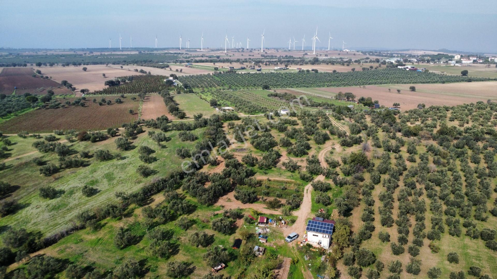 Han Emlak Otomotiv'den Ezine Üvecik'te 14700 M2 Satılık Tarla - Görsel 9