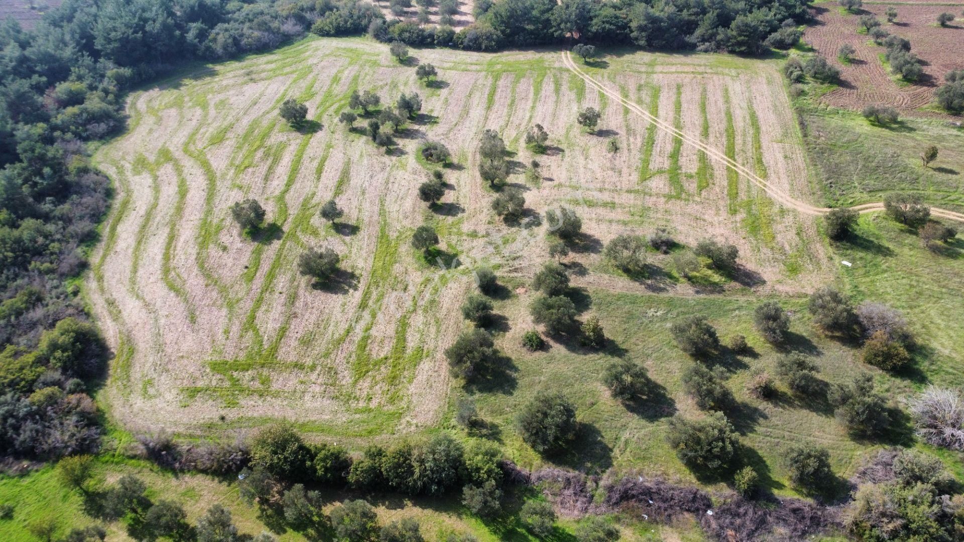 Han Emlak Otomotiv'den Ezine Üvecik'te 14700 M2 Satılık Tarla - Görsel 7