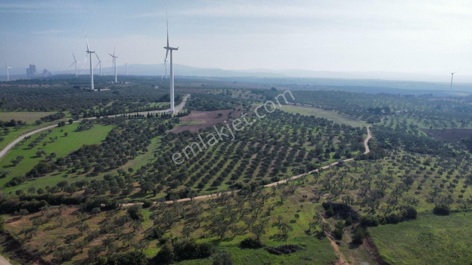 Han Emlak Otomotiv'den Ezine Üvecik'te 14700 M2 Satılık Tarla - Görsel 15
