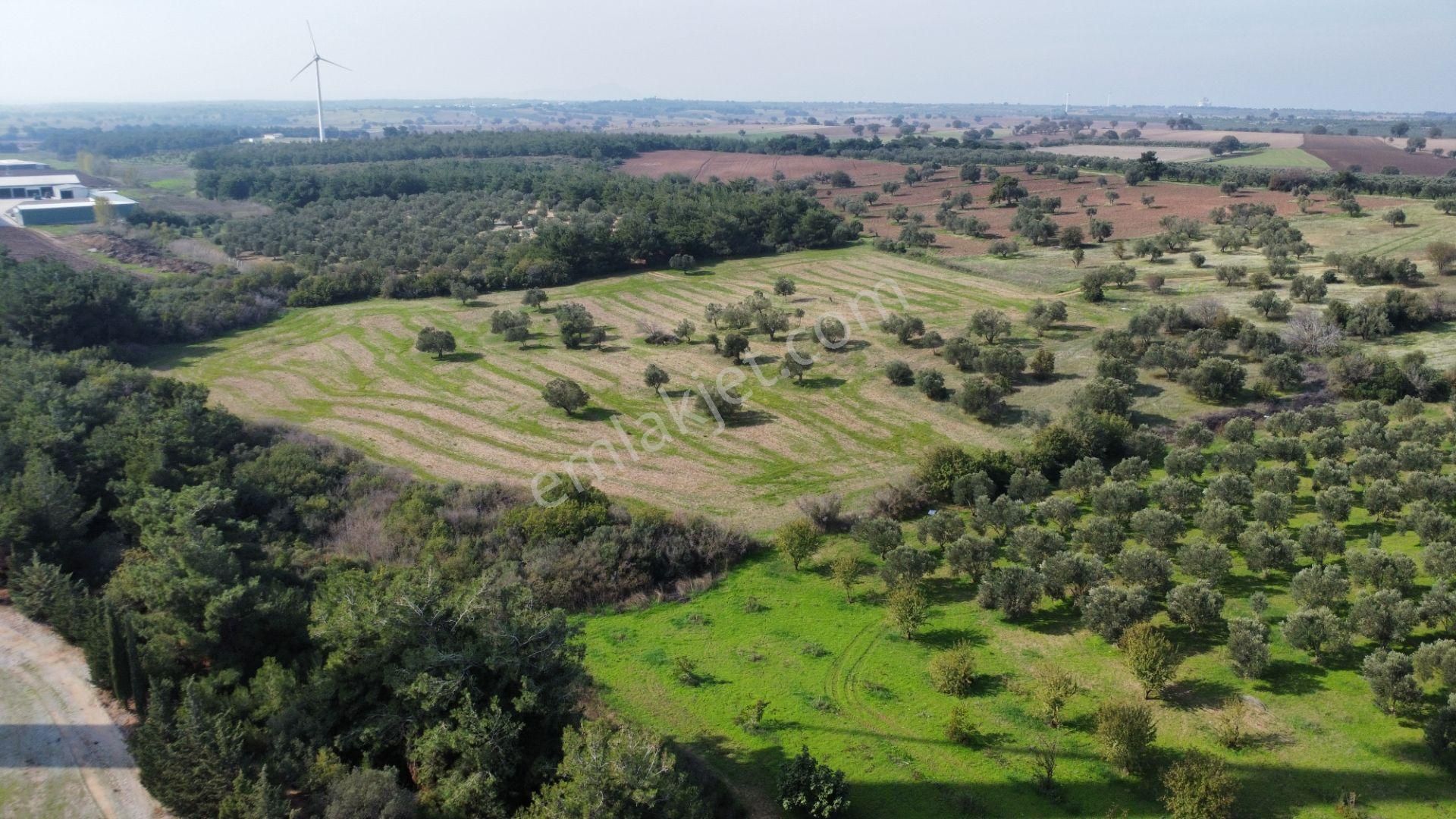Han Emlak Otomotiv'den Ezine Üvecik'te 14700 M2 Satılık Tarla - Görsel 23