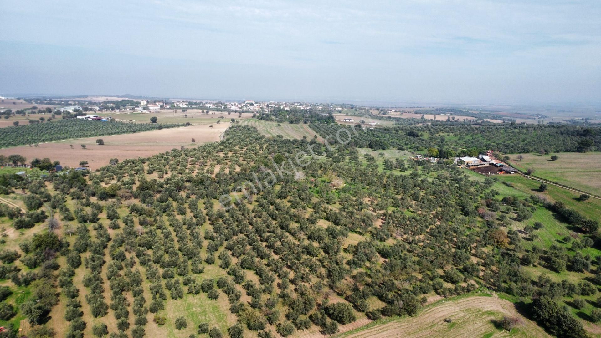 Han Emlak Otomotiv'den Ezine Üvecik'te 14700 M2 Satılık Tarla - Görsel 12