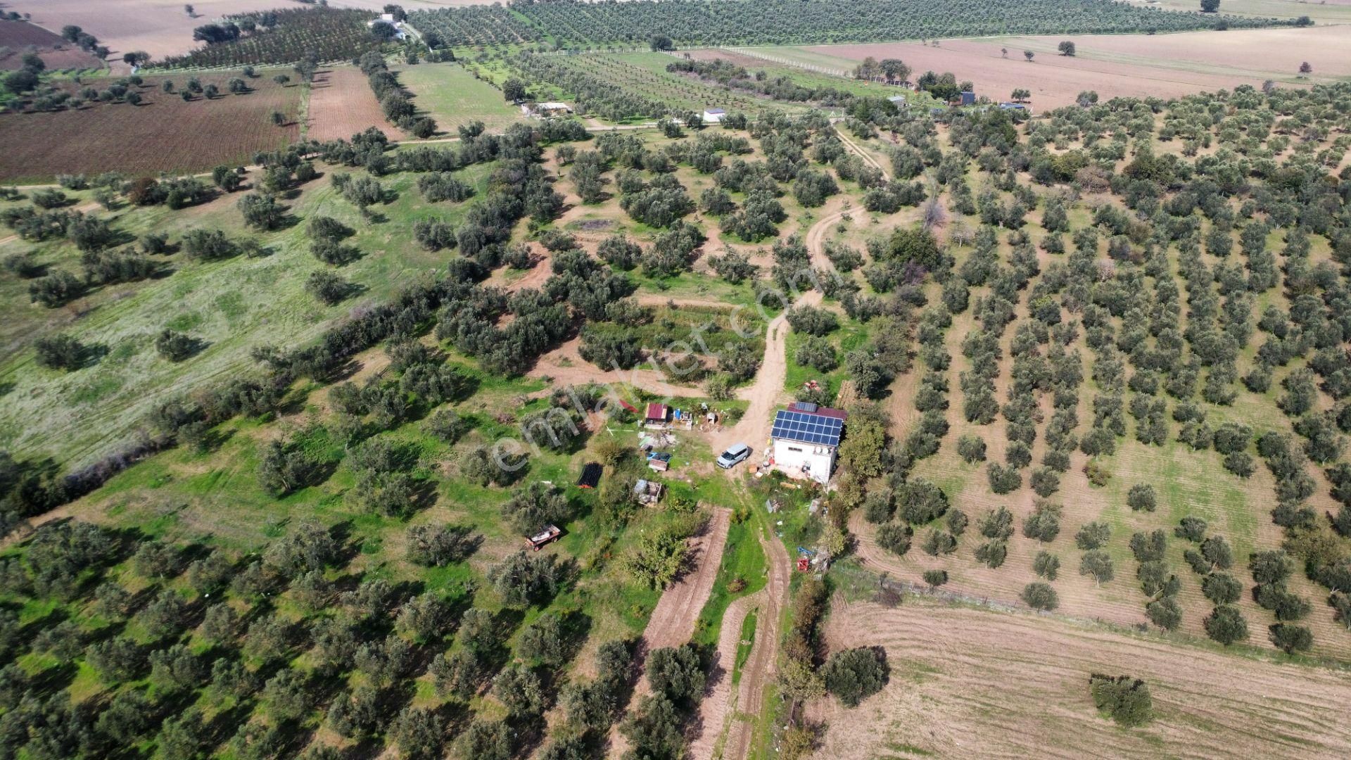 Han Emlak Otomotiv'den Ezine Üvecik'te 14700 M2 Satılık Tarla - Görsel 10