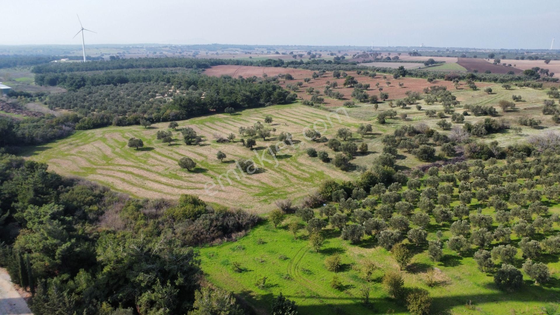 Han Emlak Otomotiv'den Ezine Üvecik'te 14700 M2 Satılık Tarla - Görsel 26