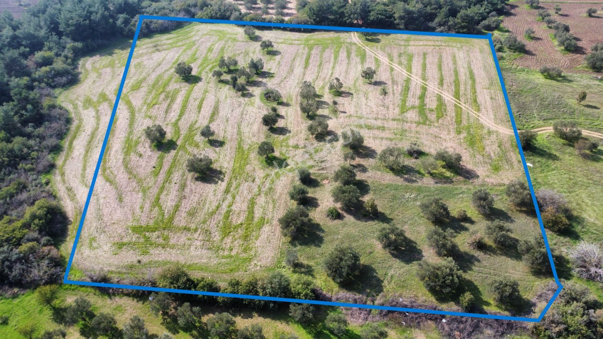 Han Emlak Otomotiv'den Ezine Üvecik'te 14700 M2 Satılık Tarla - Görsel 3