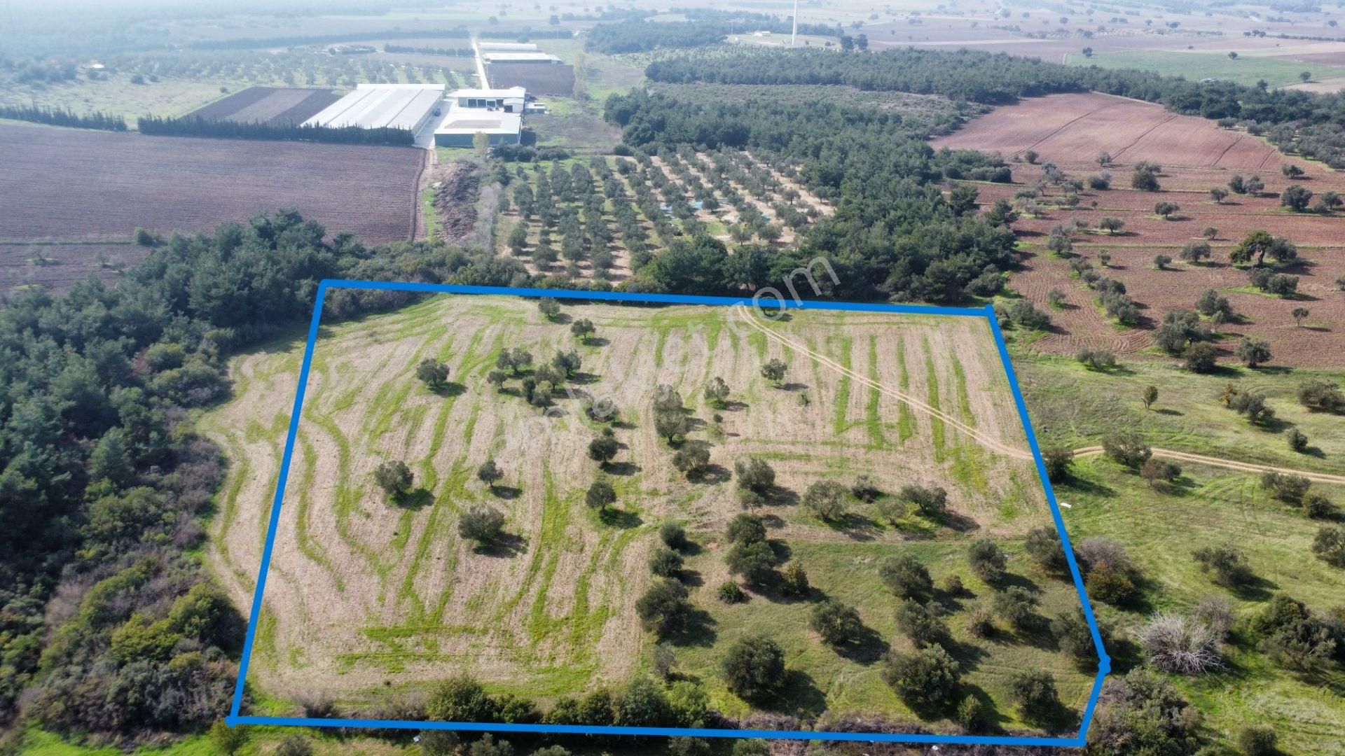 Han Emlak Otomotiv'den Ezine Üvecik'te 14700 M2 Satılık Tarla - Görsel 4