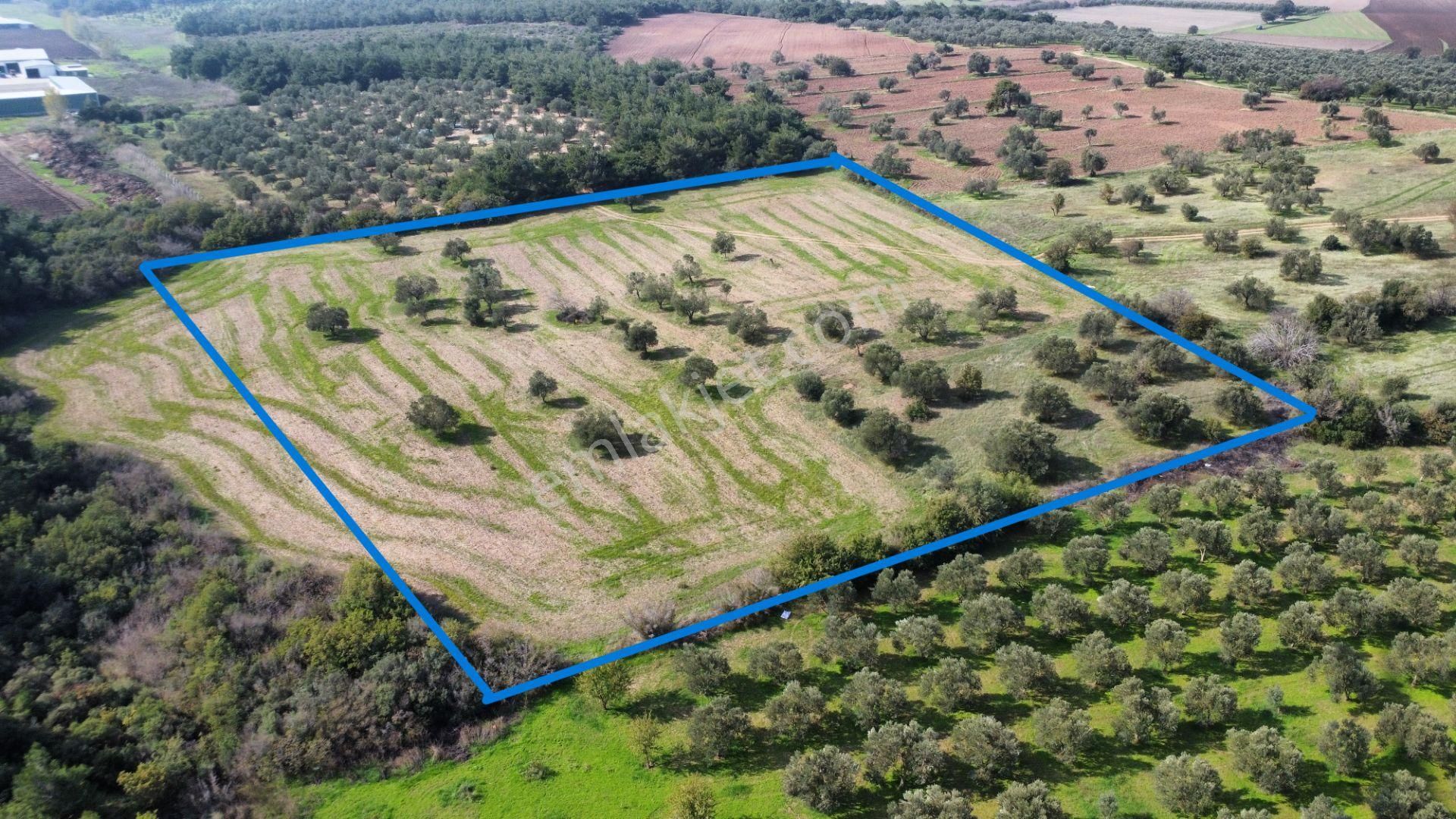 Han Emlak Otomotiv'den Ezine Üvecik'te 14700 M2 Satılık Tarla - Görsel 2