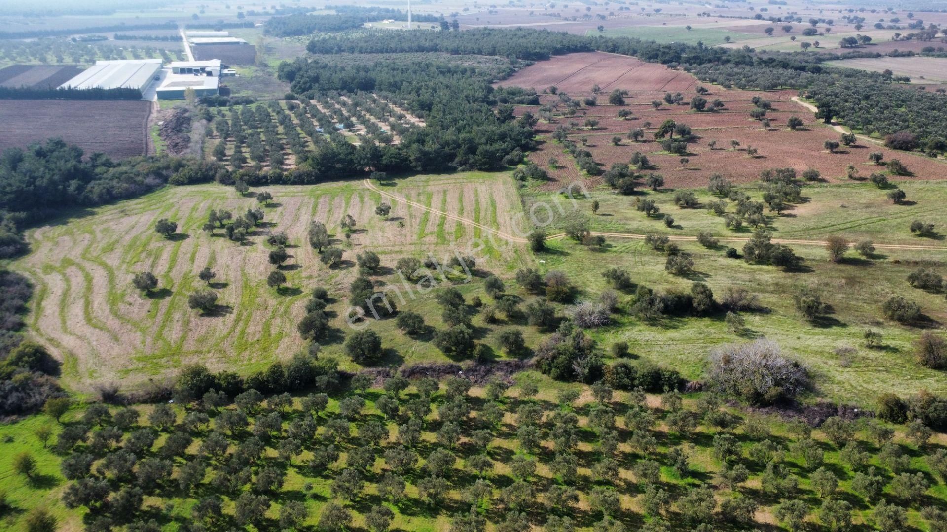 Han Emlak Otomotiv'den Ezine Üvecik'te 14700 M2 Satılık Tarla - Görsel 18
