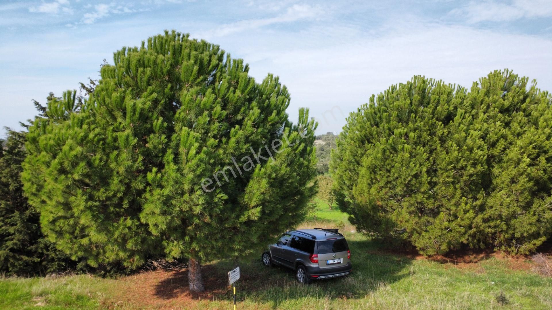 Han Emlak Otomotiv'den Ezine Üvecik'te 14700 M2 Satılık Tarla - Görsel 27