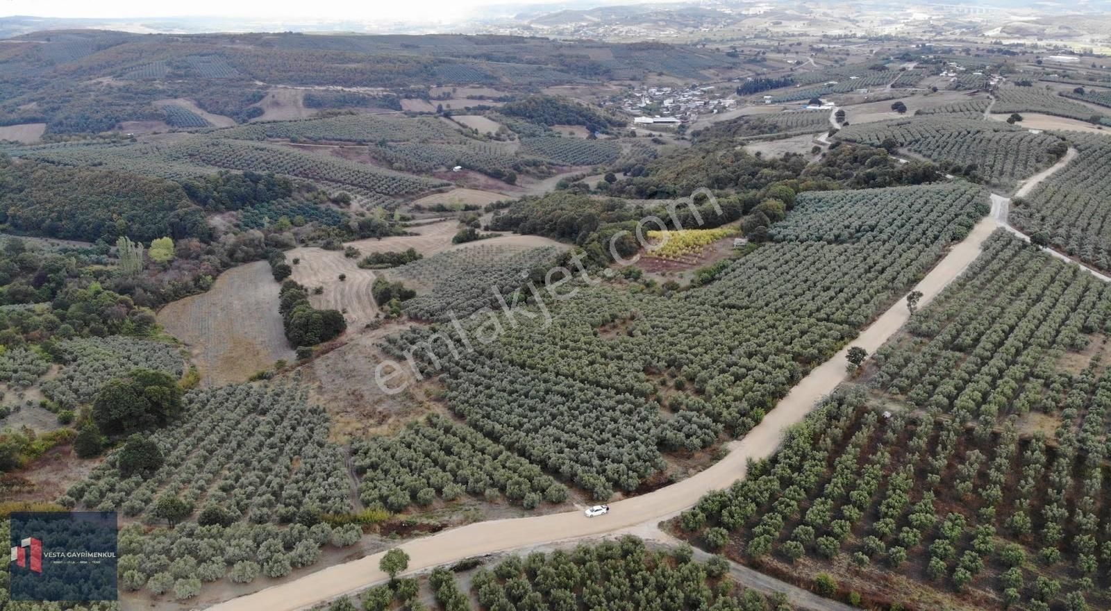 Mudanya Hançerli'de Satılık 6.850 M2 Yola Cephe Tarla - Görsel 2