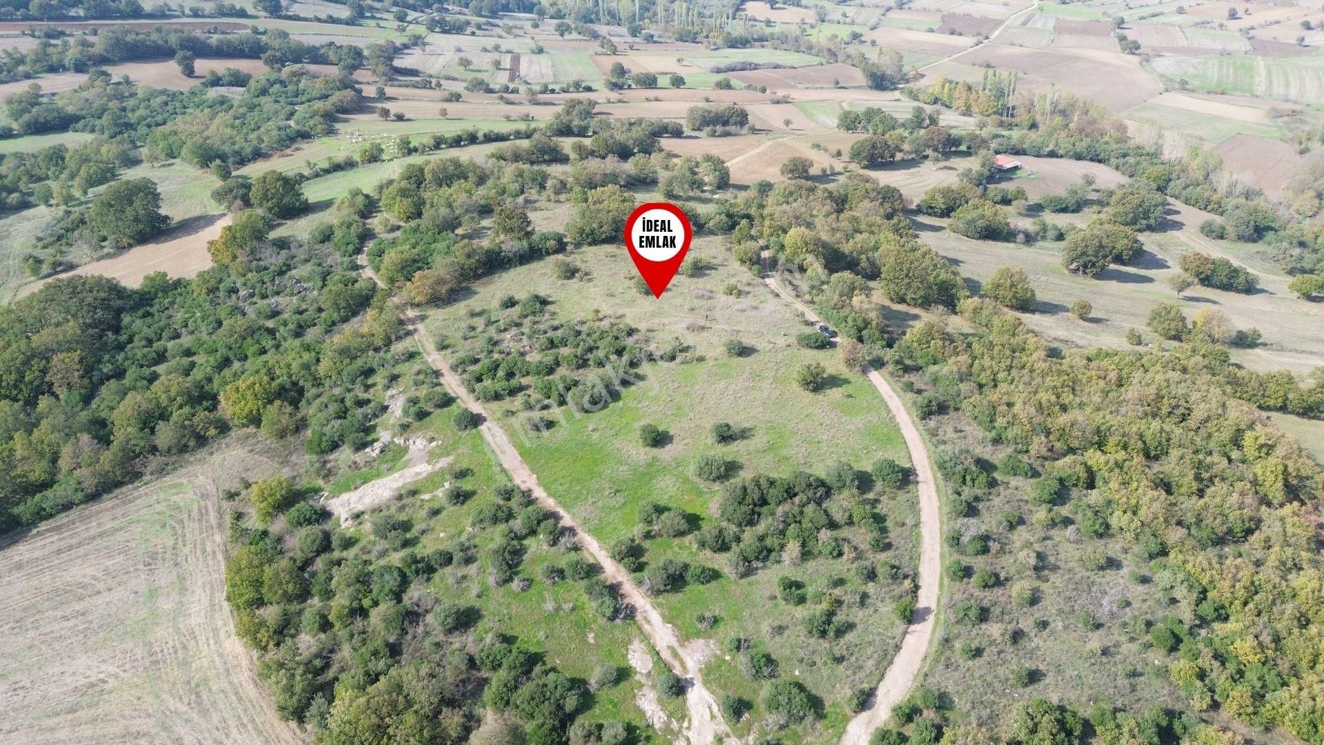 Çanakkale Biga Kozçeşme Köyünde Fırsat 4.050 M2 Tarla!!! - Görsel 7