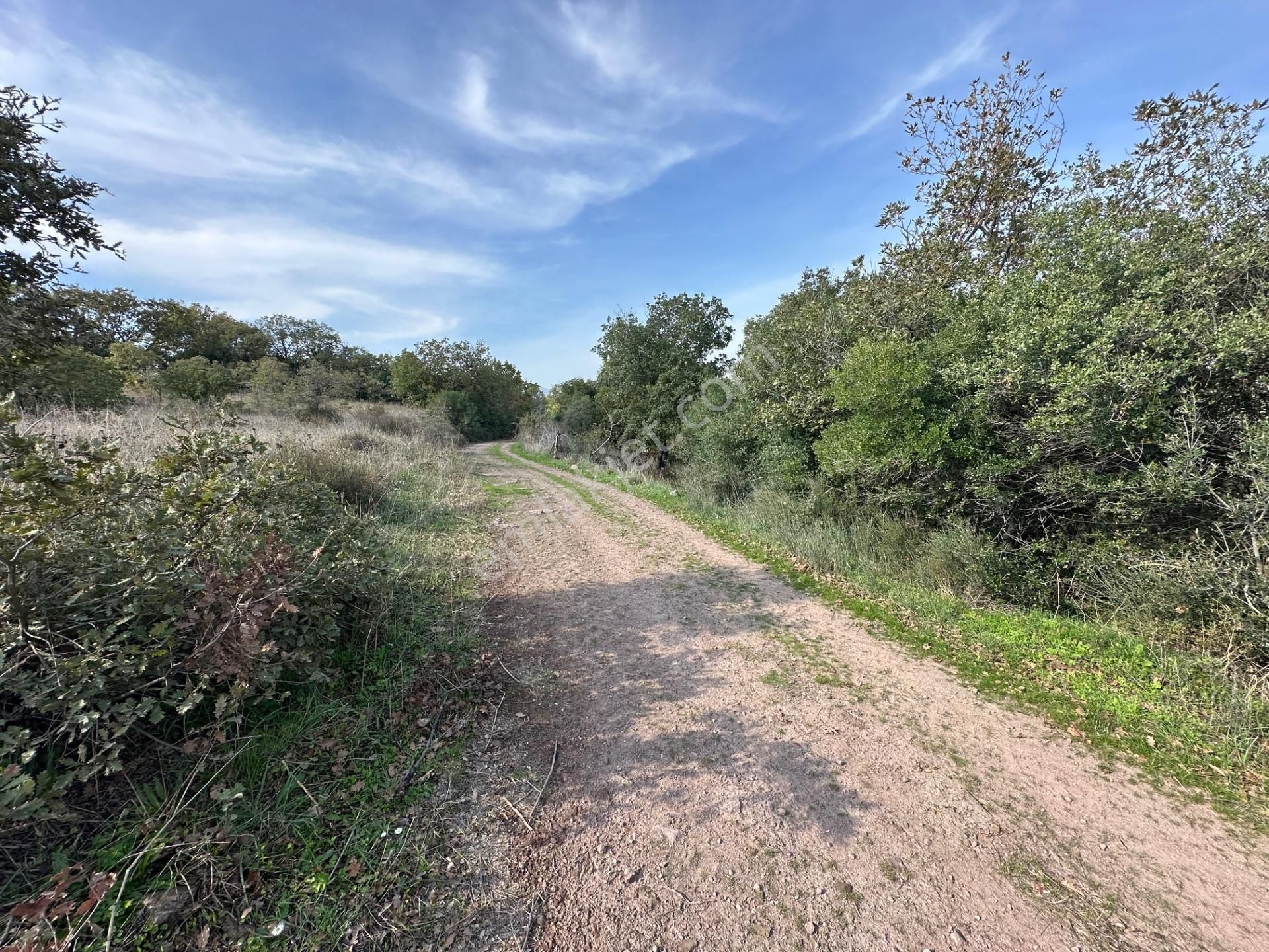 Çanakkale Biga Kozçeşme Köyünde Fırsat 4.050 M2 Tarla!!! - Görsel 33