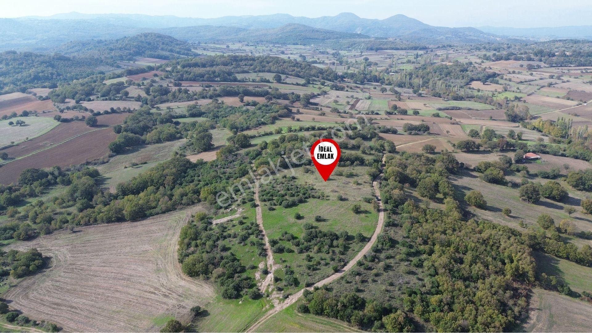 Çanakkale Biga Kozçeşme Köyünde Fırsat 4.050 M2 Tarla!!! - Görsel 24