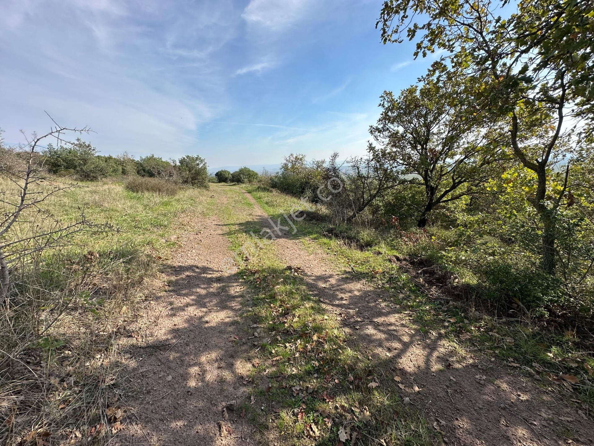 Çanakkale Biga Kozçeşme Köyünde Fırsat 4.050 M2 Tarla!!! - Görsel 30