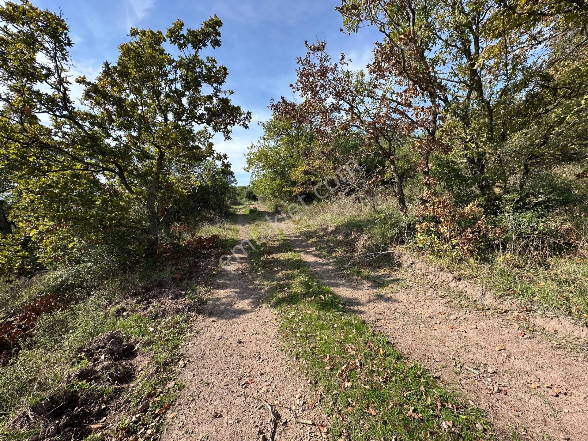 Çanakkale Biga Kozçeşme Köyünde Fırsat 4.050 M2 Tarla!!! - Görsel 29