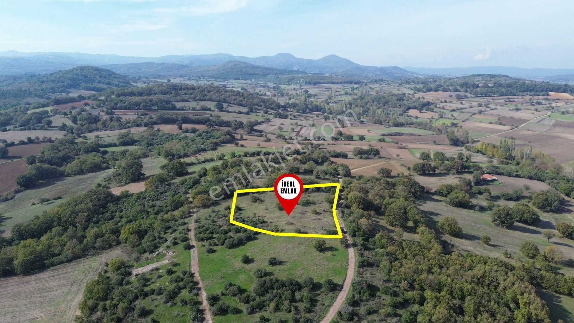 Çanakkale Biga Kozçeşme Köyünde Fırsat 4.050 M2 Tarla!!! - Görsel 6