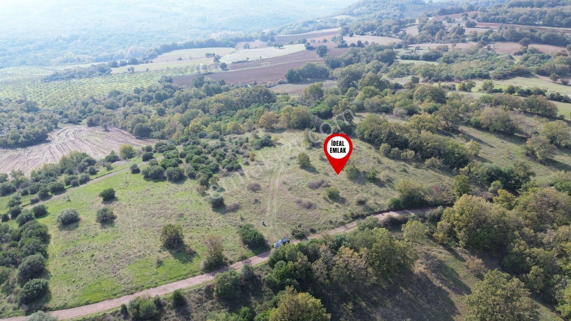 Çanakkale Biga Kozçeşme Köyünde Fırsat 4.050 M2 Tarla!!! - Görsel 3