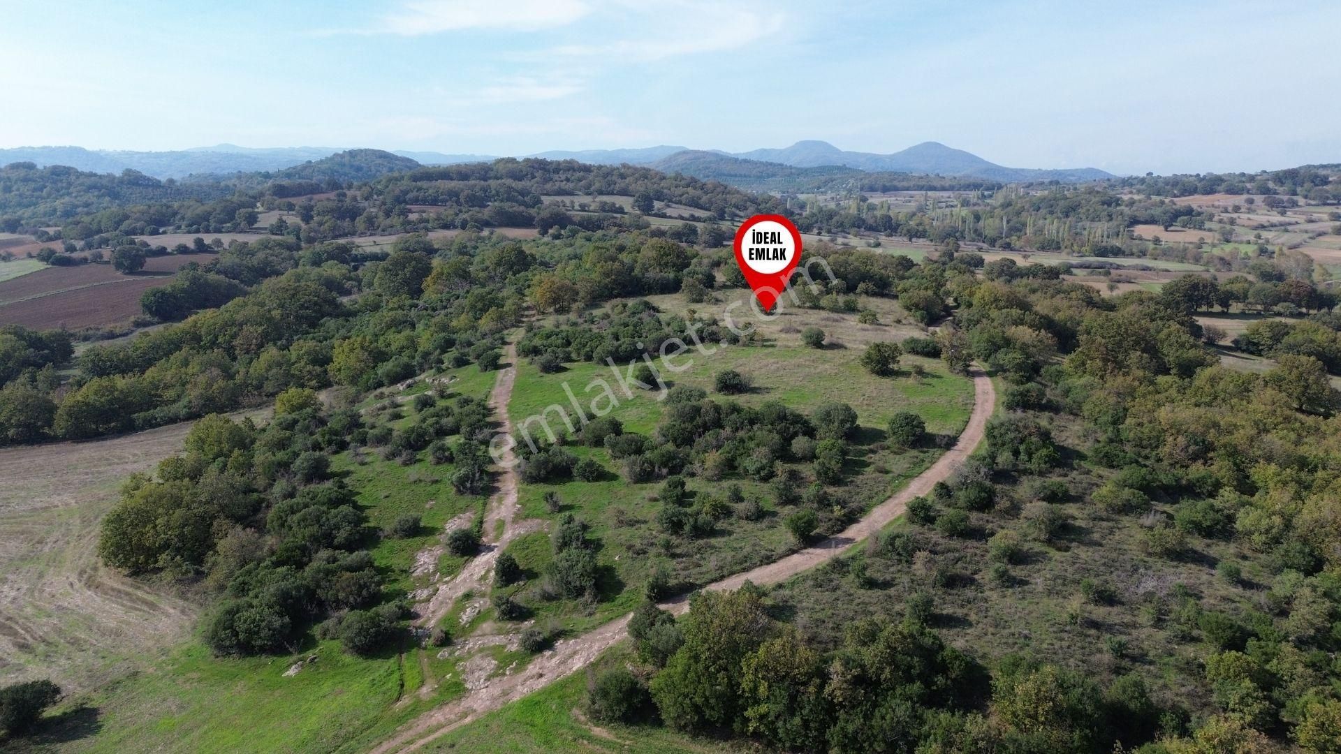 Çanakkale Biga Kozçeşme Köyünde Fırsat 4.050 M2 Tarla!!! - Görsel 26