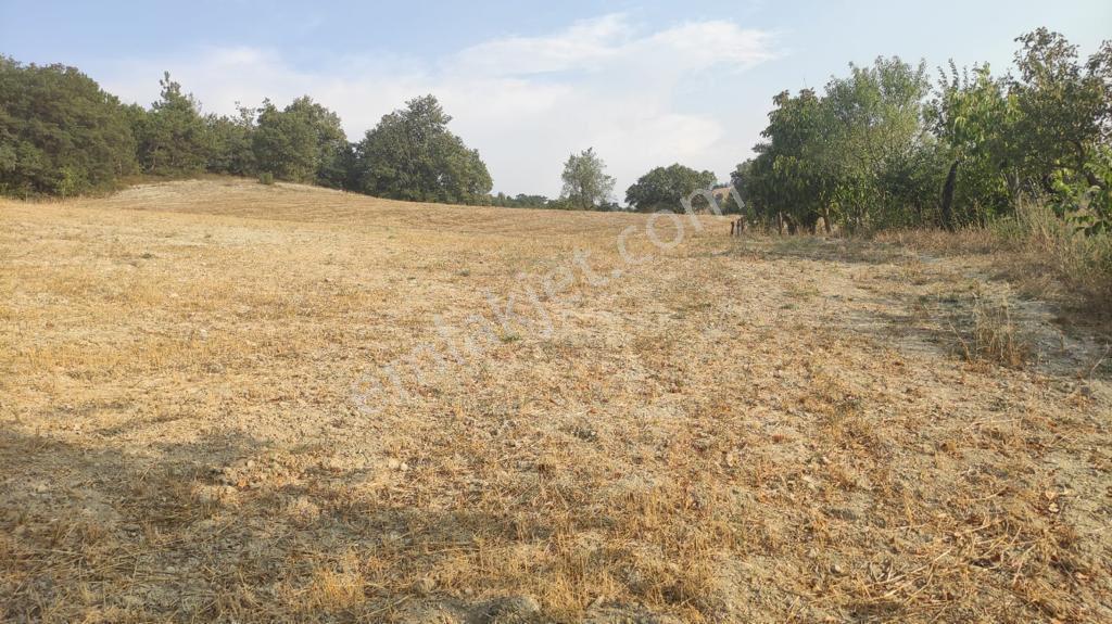 Acil %40 İmralı Arsam Satılıktır - Görsel 2