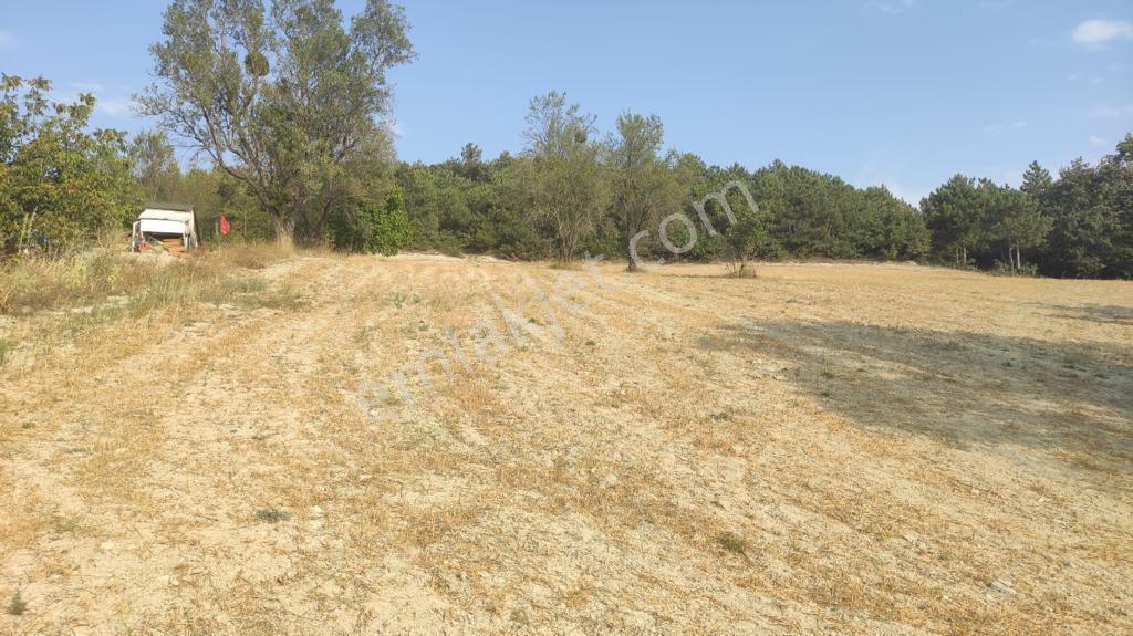 Acil %40 İmralı Arsam Satılıktır - Görsel 4