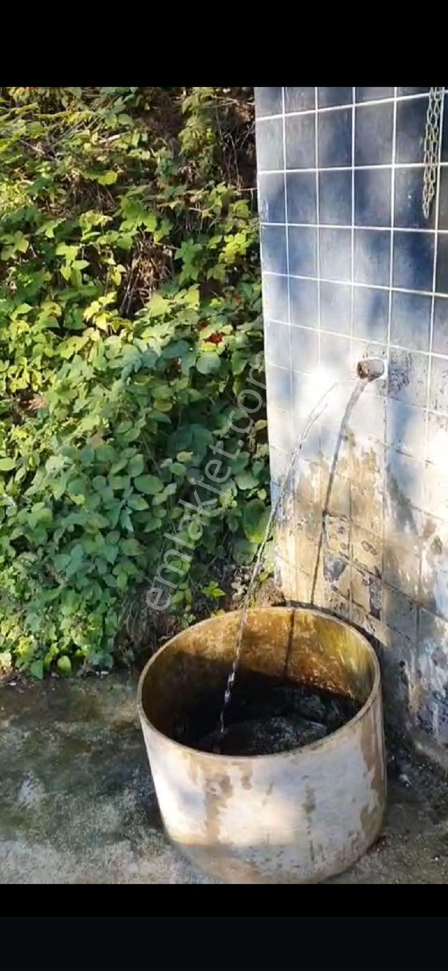 Duzce Yılğilcada Acil Satilik İmarli Arsa - Görsel 8