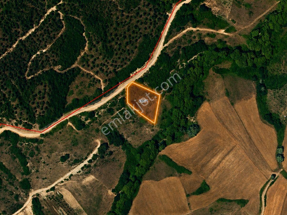 Ali Erişgin'den Satılık Tarla İlkadım Gürgendağı Mah'de 2243 M2