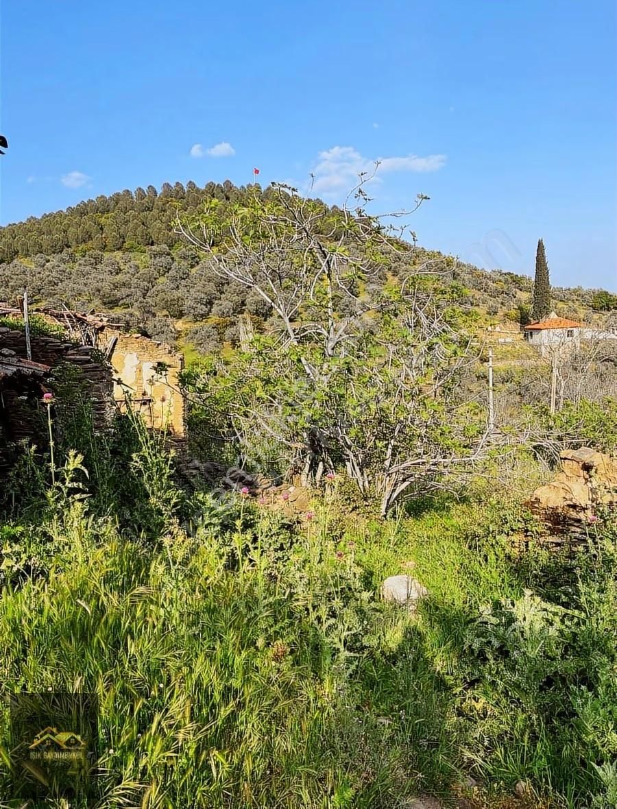 Muhteşem Doğa Vadi Manzaralı Taş Ev 588m² 2 Adet Arsa Ayrı Ayrı - Görsel 2
