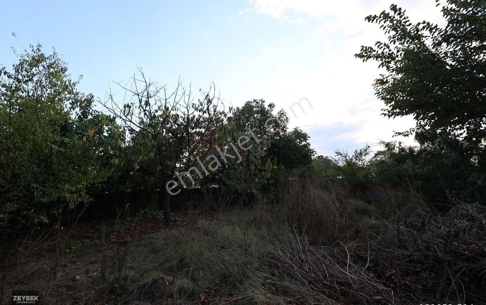 Zeybek Emlaktan Tuzakçıda 566 M2 Arsa İçinde Dubleks Müstakil Evimiz Satılıktır - Görsel 34