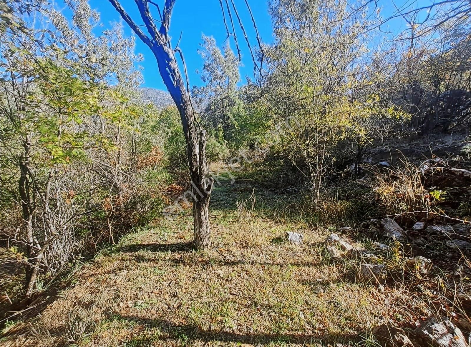 Antalya Akseki Mahmutlu Da Usanmaz Emlaktan Satılık 150m İlk Gel - Görsel 10