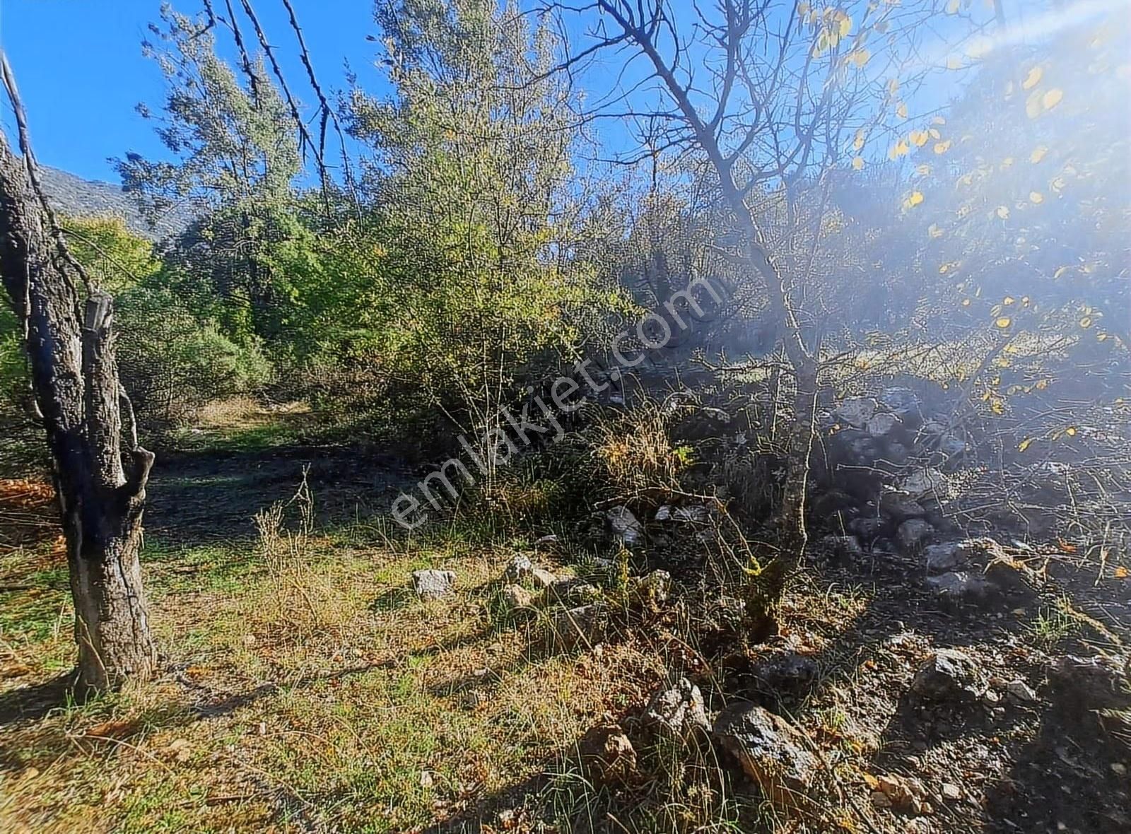 Antalya Akseki Mahmutlu Da Usanmaz Emlaktan Satılık 150m İlk Gel - Görsel 5