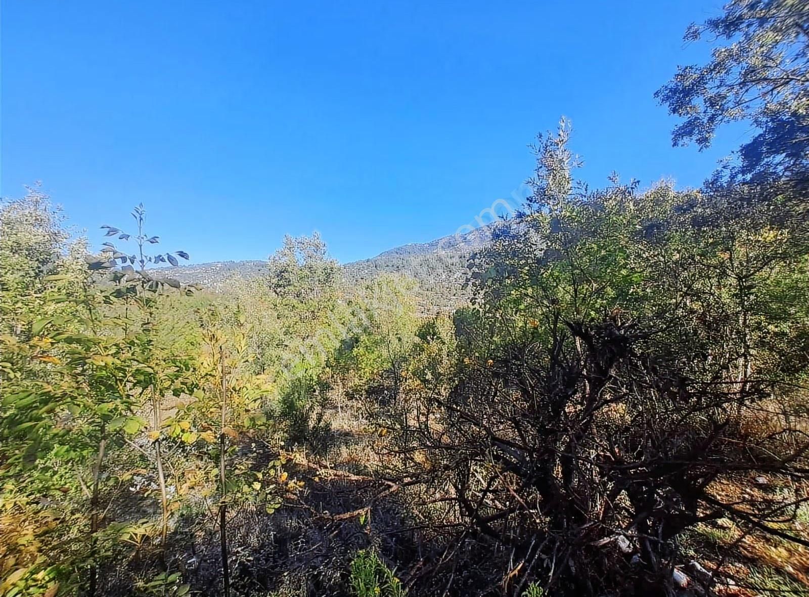 Antalya Akseki Mahmutlu Da Usanmaz Emlaktan Satılık 150m İlk Gel - Görsel 9