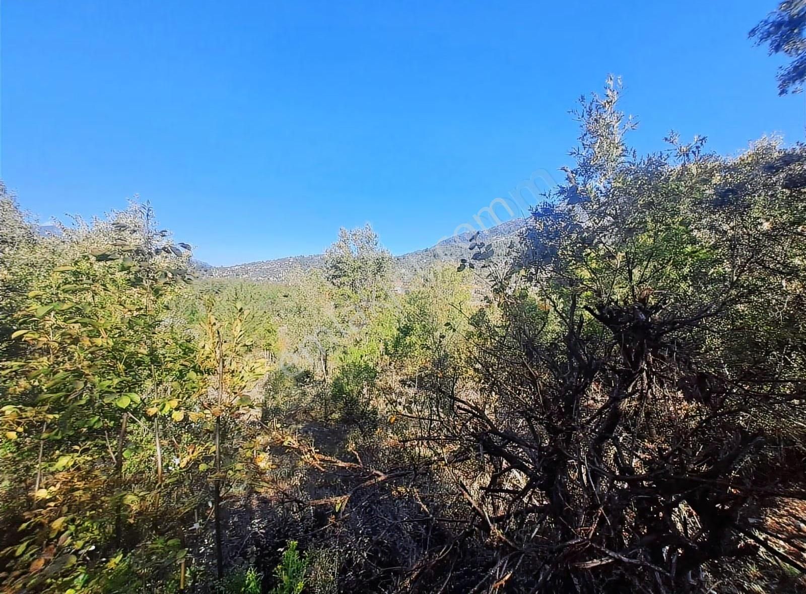 Antalya Akseki Mahmutlu Da Usanmaz Emlaktan Satılık 150m İlk Gel - Görsel 12