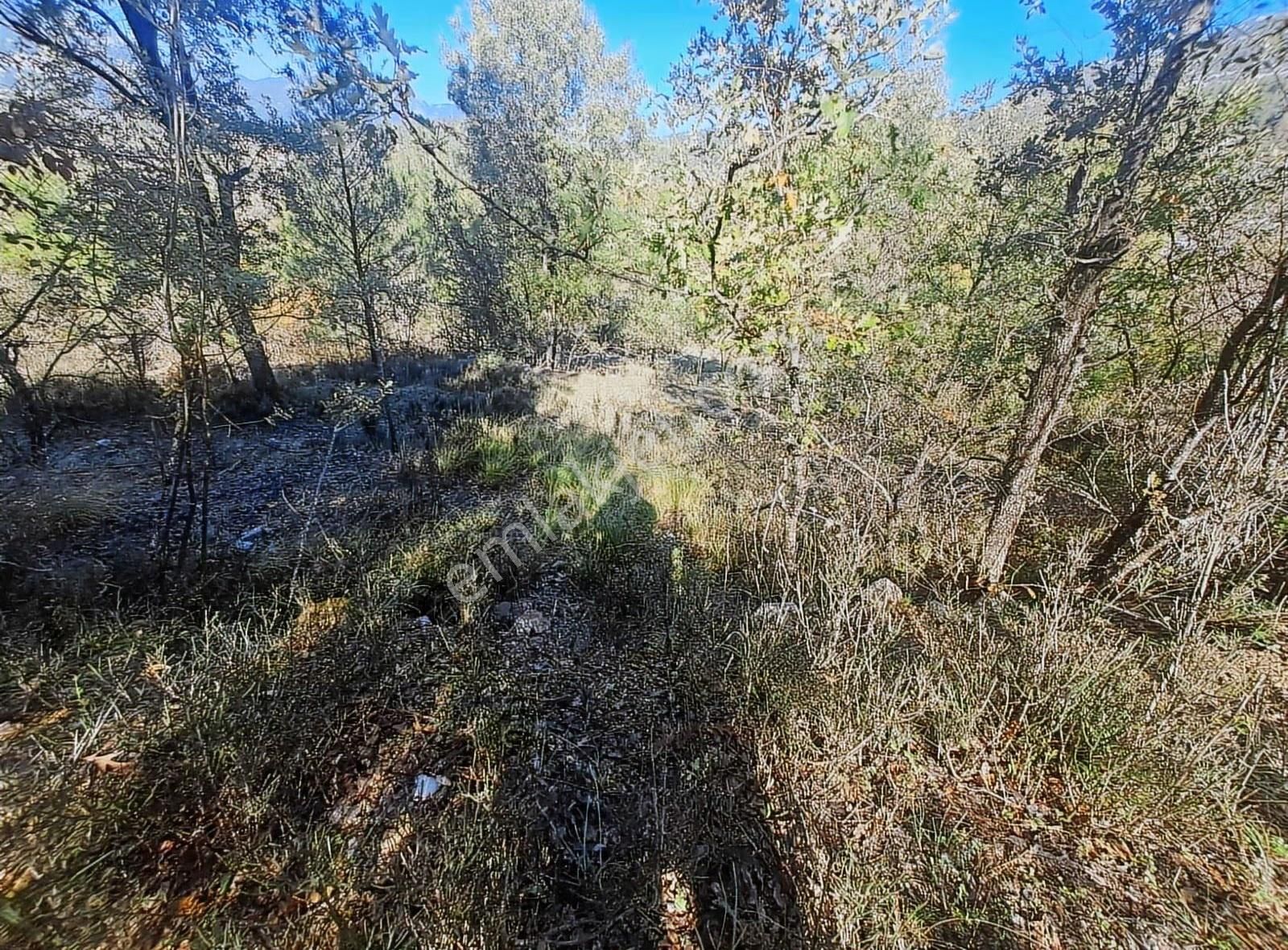 Antalya Akseki Mahmutlu Da Usanmaz Emlaktan Satılık 150m İlk Gel - Görsel 11