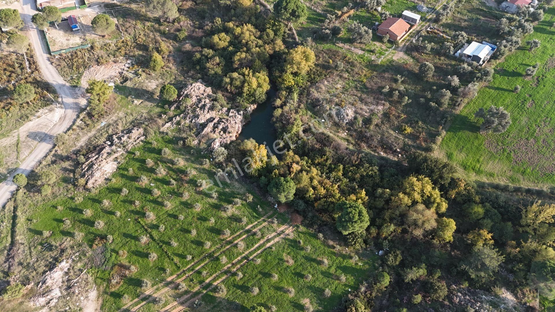 İzmir Menderes Künerde Tapudan Satışlı 536 M2 Elektrik Su Köşe Arsa - Görsel 25