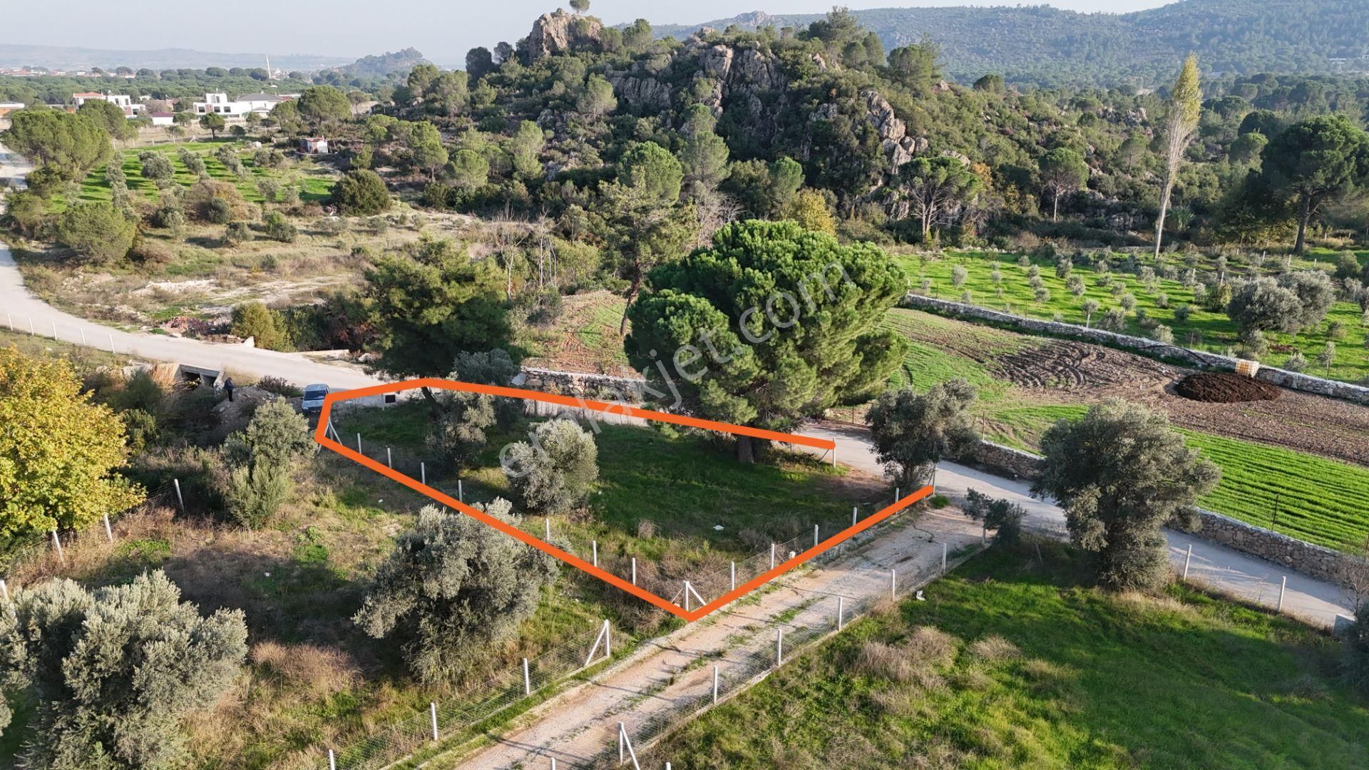 İzmir Menderes Künerde Tapudan Satışlı 536 M2 Elektrik Su Köşe Arsa