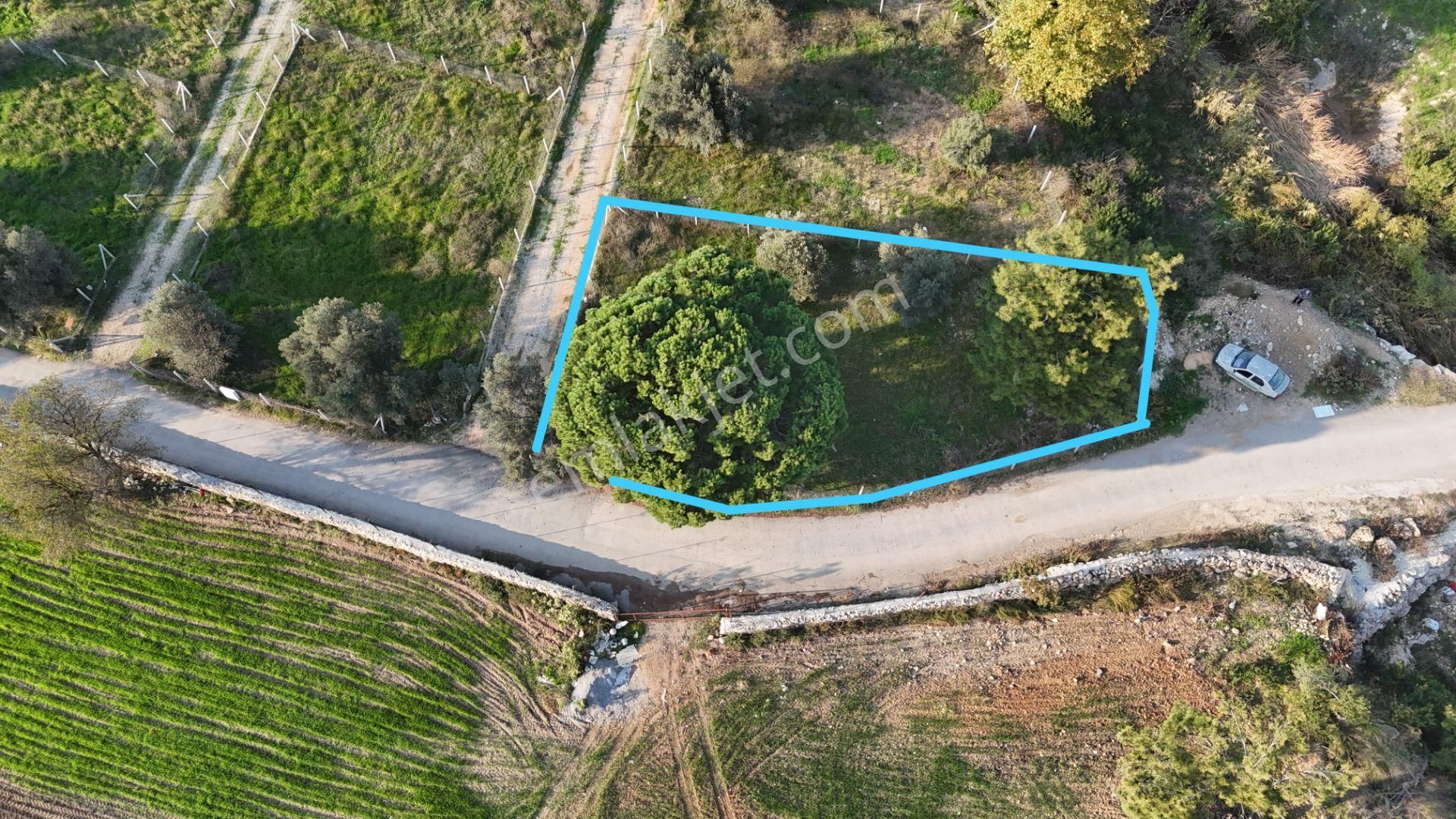 İzmir Menderes Künerde Tapudan Satışlı 536 M2 Elektrik Su Köşe Arsa - Görsel 3