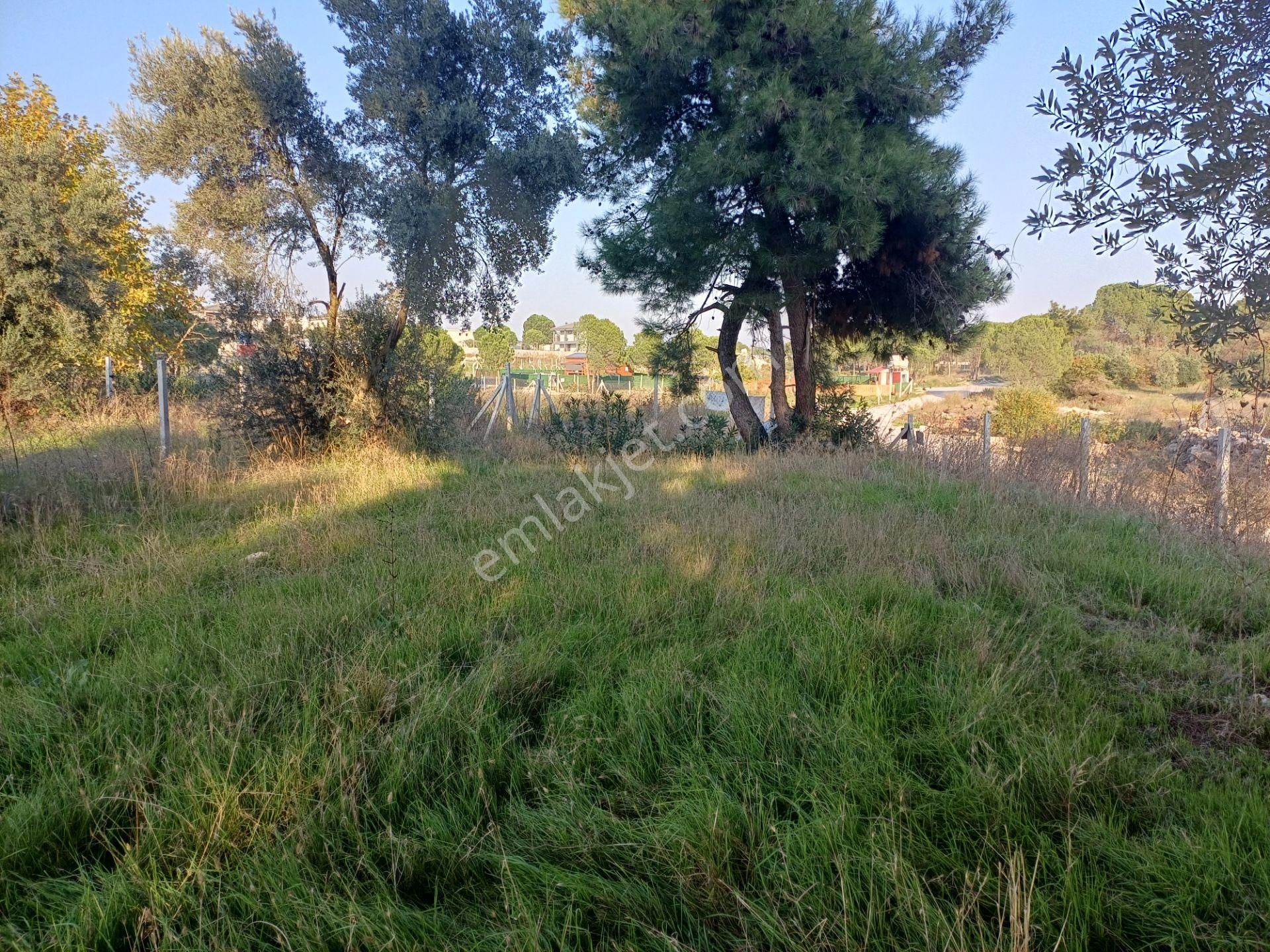 İzmir Menderes Künerde Tapudan Satışlı 536 M2 Elektrik Su Köşe Arsa - Görsel 8