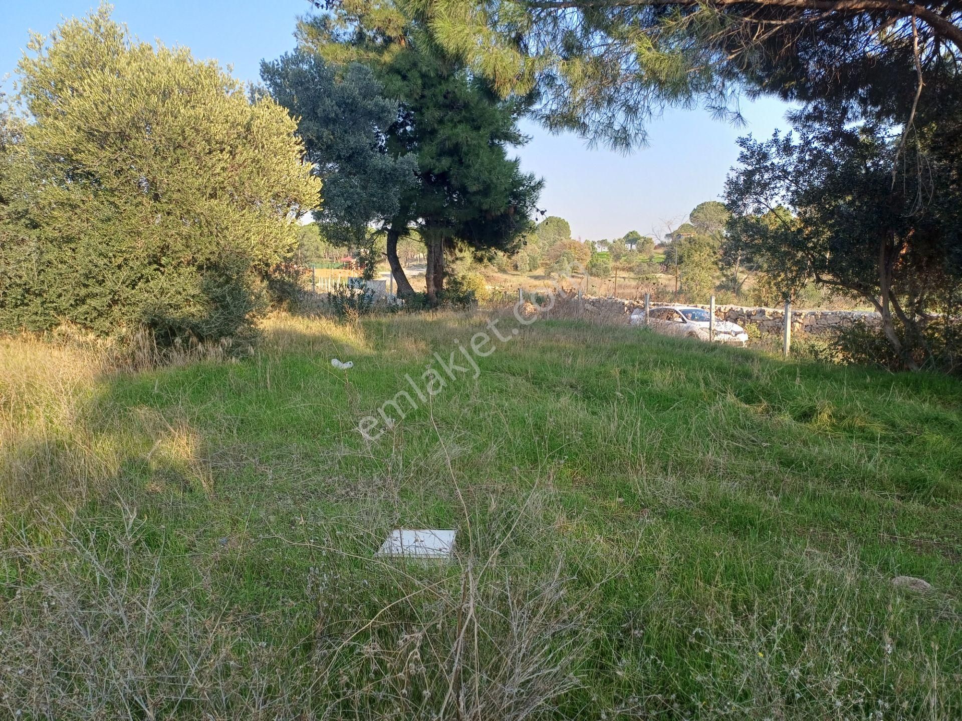 İzmir Menderes Künerde Tapudan Satışlı 536 M2 Elektrik Su Köşe Arsa - Görsel 24