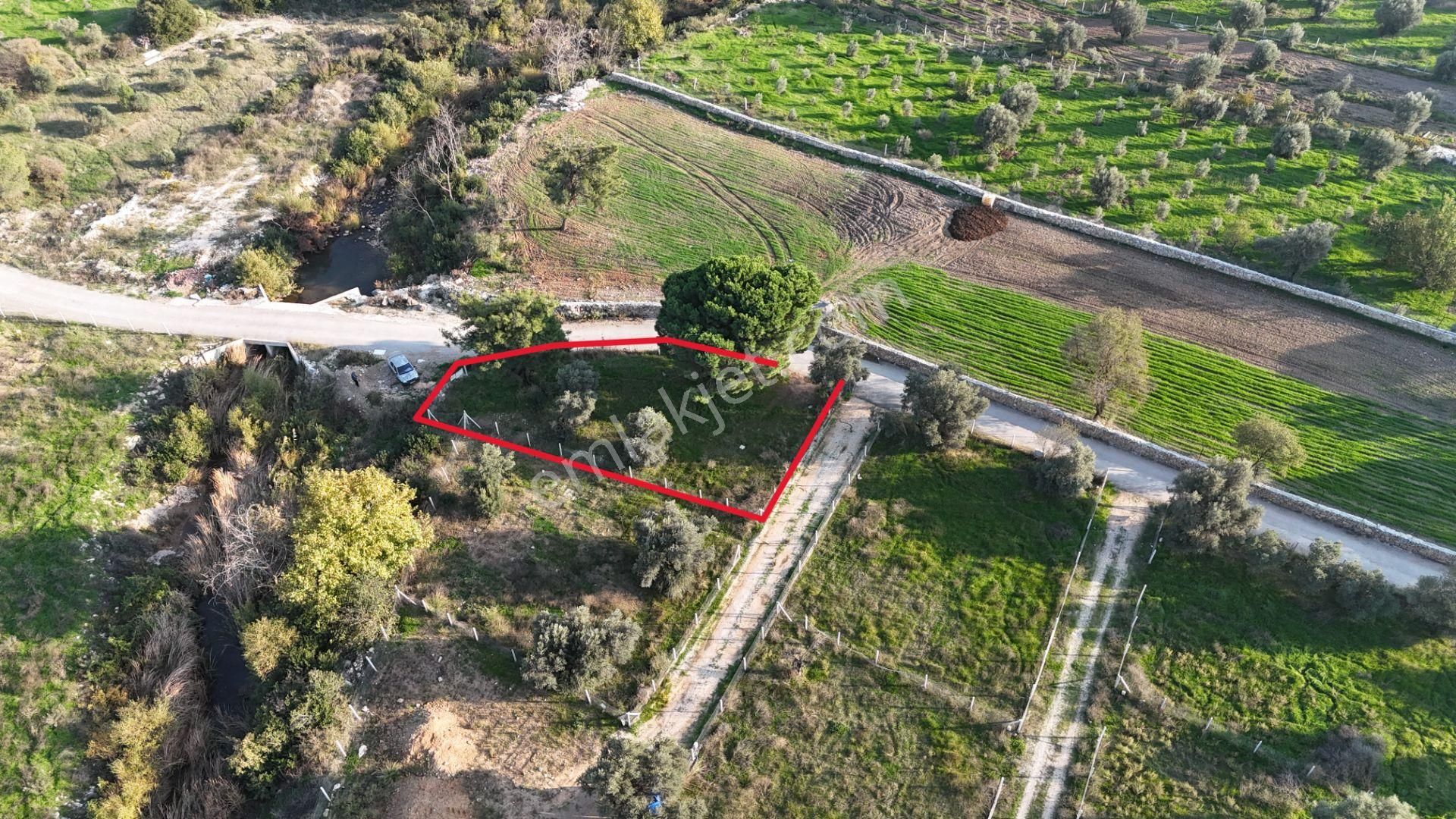 İzmir Menderes Künerde Tapudan Satışlı 536 M2 Elektrik Su Köşe Arsa - Görsel 11