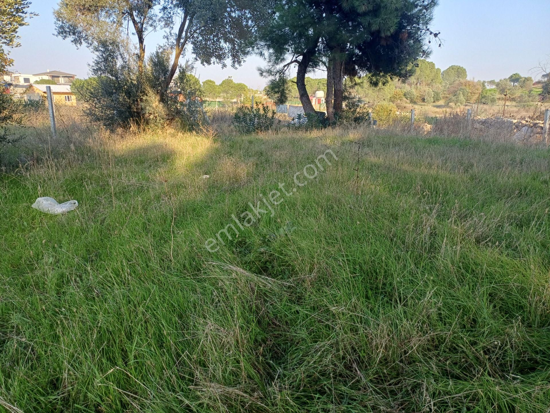 İzmir Menderes Künerde Tapudan Satışlı 536 M2 Elektrik Su Köşe Arsa - Görsel 19