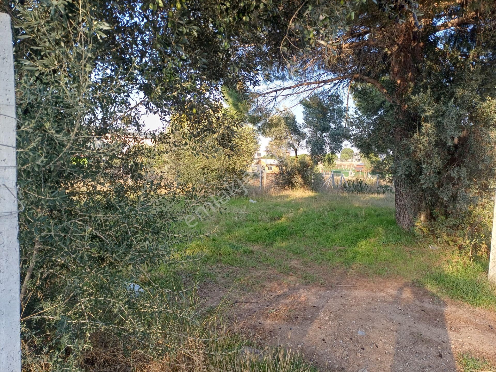 İzmir Menderes Künerde Tapudan Satışlı 536 M2 Elektrik Su Köşe Arsa - Görsel 26