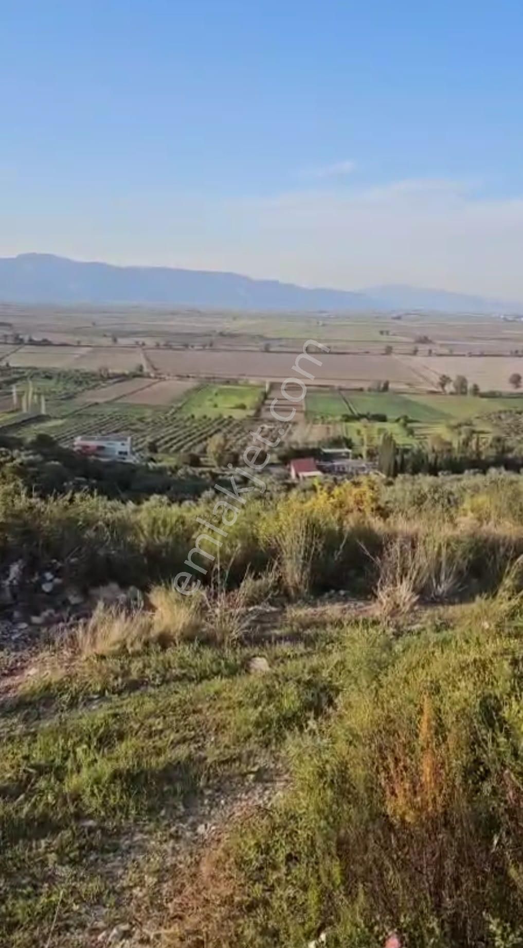 🌿 Zaza Emlak'tan Kaçmaz Fırsat! 🌿 - Görsel 6
